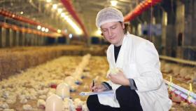 В Германии и Португалии выявили новые случаи гриппа птиц